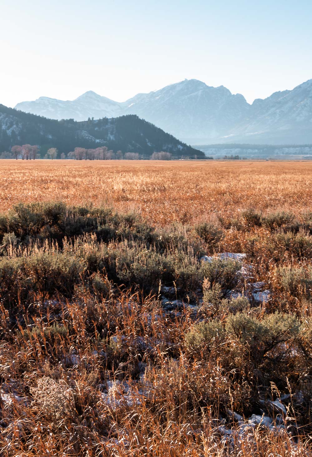 One Day in Grand Teton National Park - Roads and Destinations _ roadsanddestinations.com