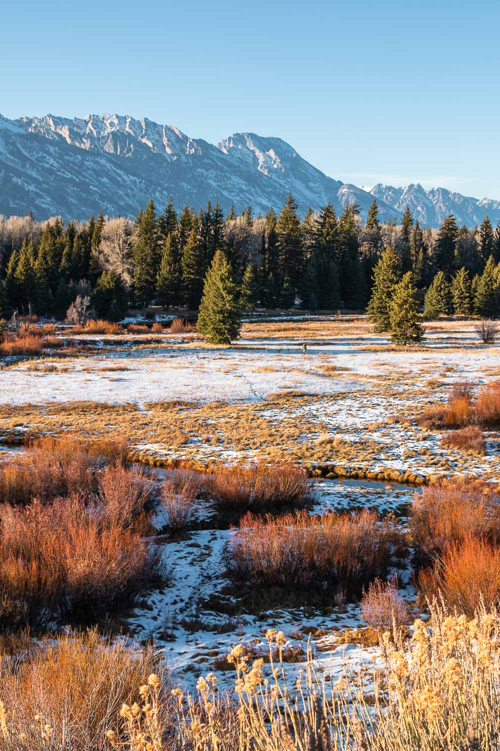 One Day in Grand Teton National Park - Roads and Destinations _ roadsanddestinations.com