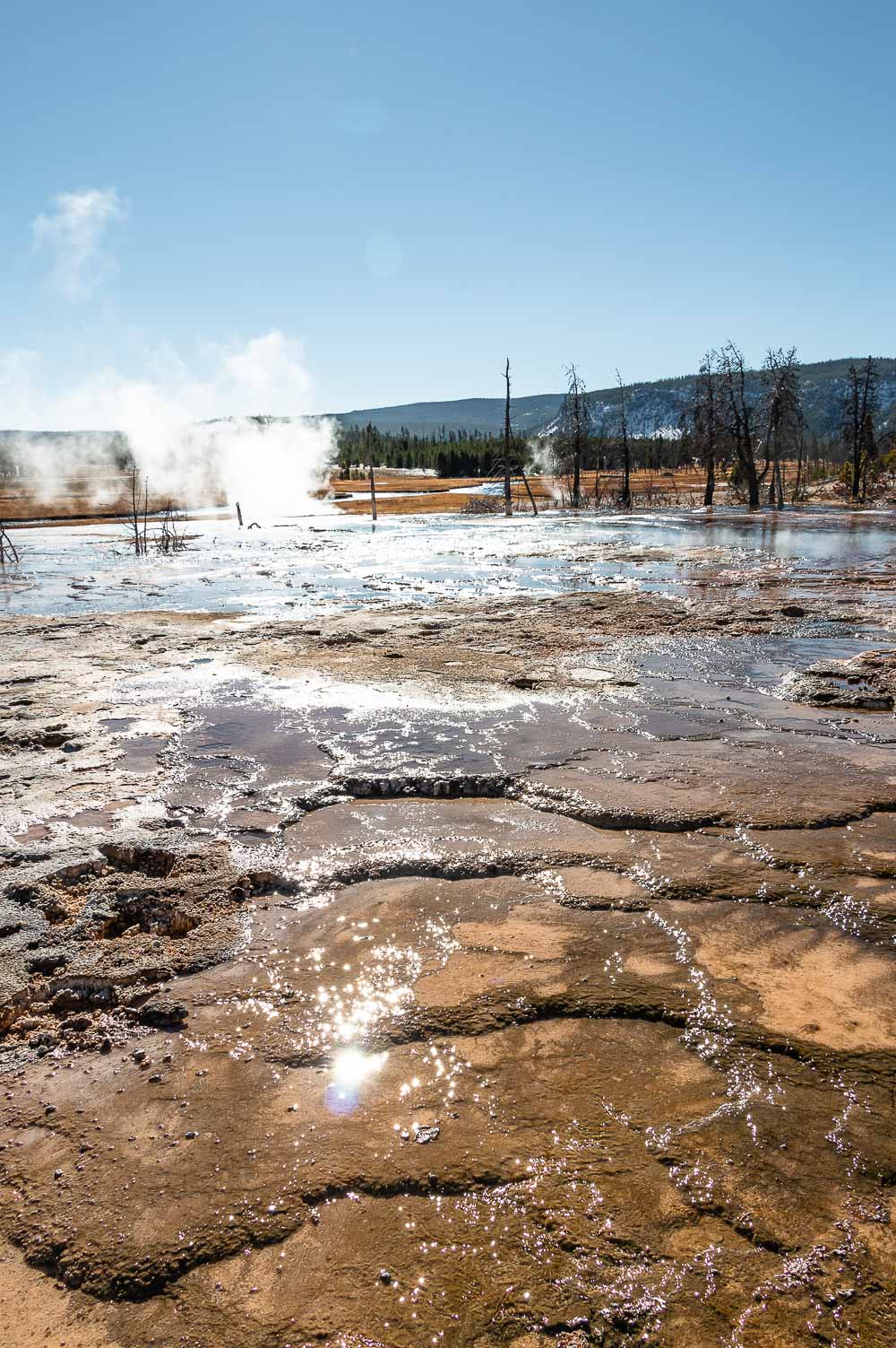 9 Things You didn’t Know About Yellowstone - Roads and Destinations