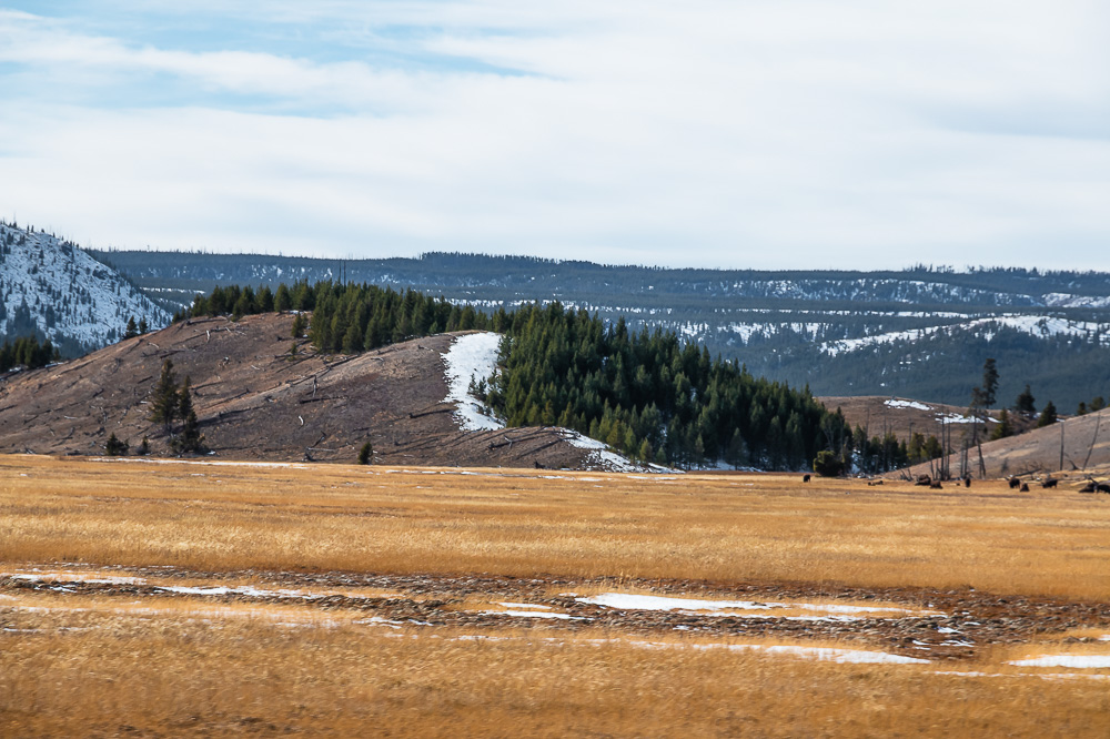 9 Things You didn’t Know About Yellowstone - Roads and Destinations