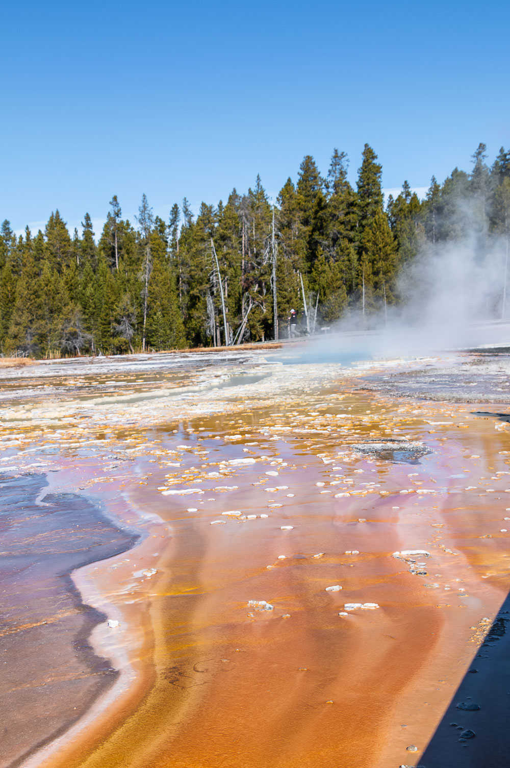 First visit to Yellowstone - Roads and Destinations. - roadsanddestinations.com