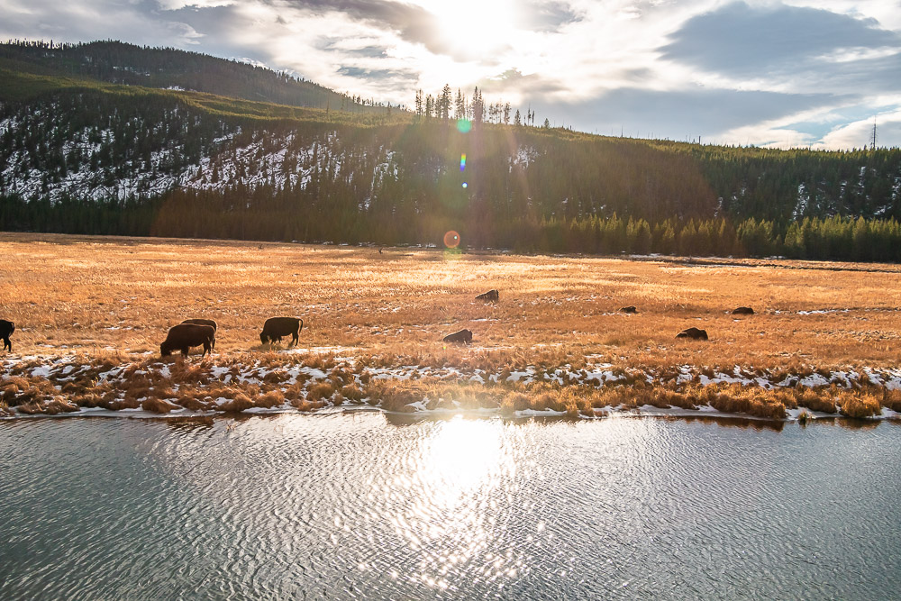 Wyoming - Roads and Destinations roadsanddestinations.com