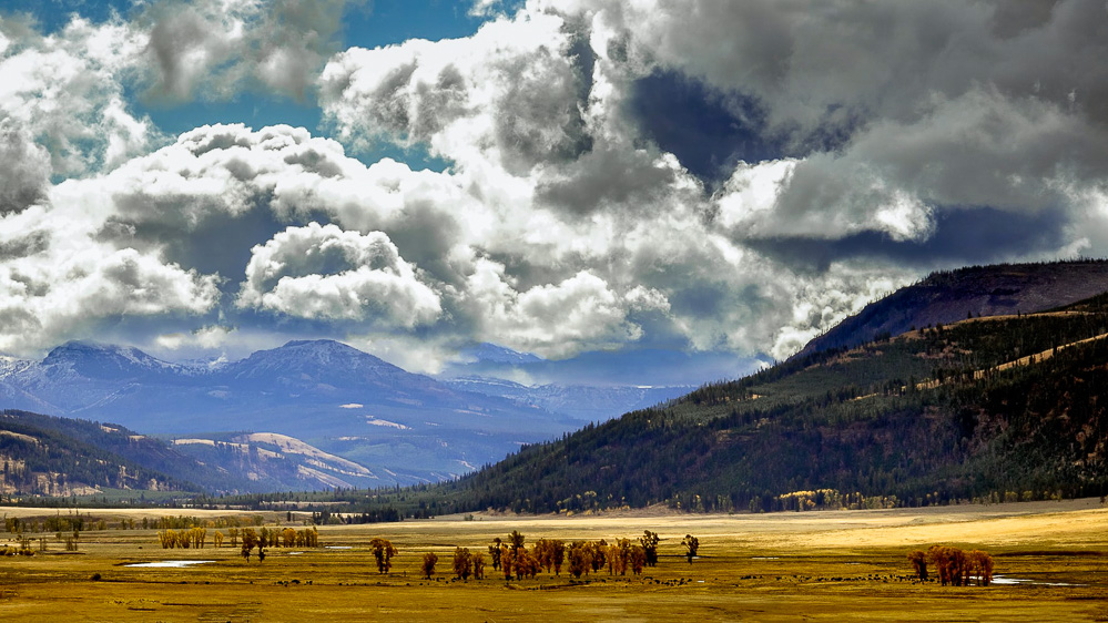 Lamar Valley - Roads and Destinations roadsanddestinations.com