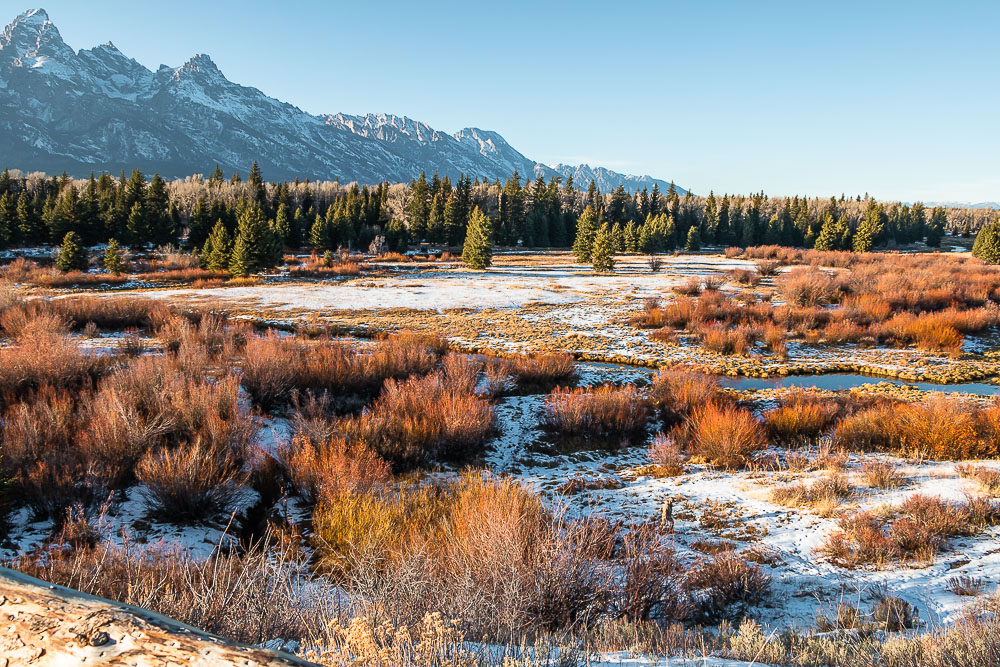 Photo Spots in Grand Teton - Roads and Destinations, roadsanddestinations.com