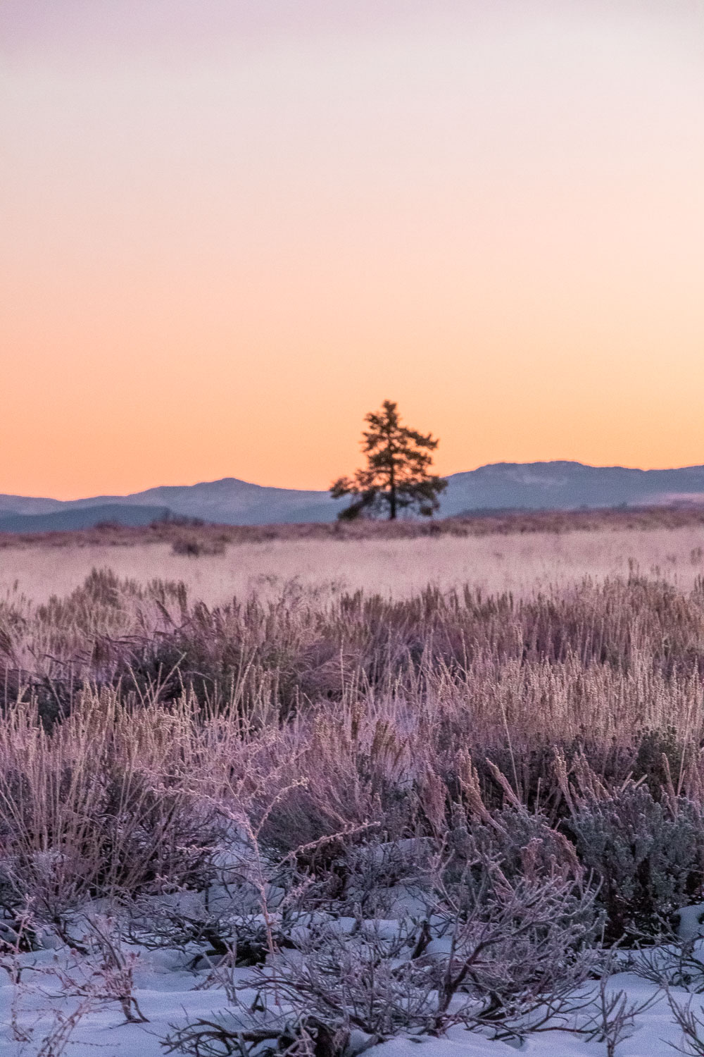 Photo Spots in Grand Teton - Roads and Destinations, roadsanddestinations.com