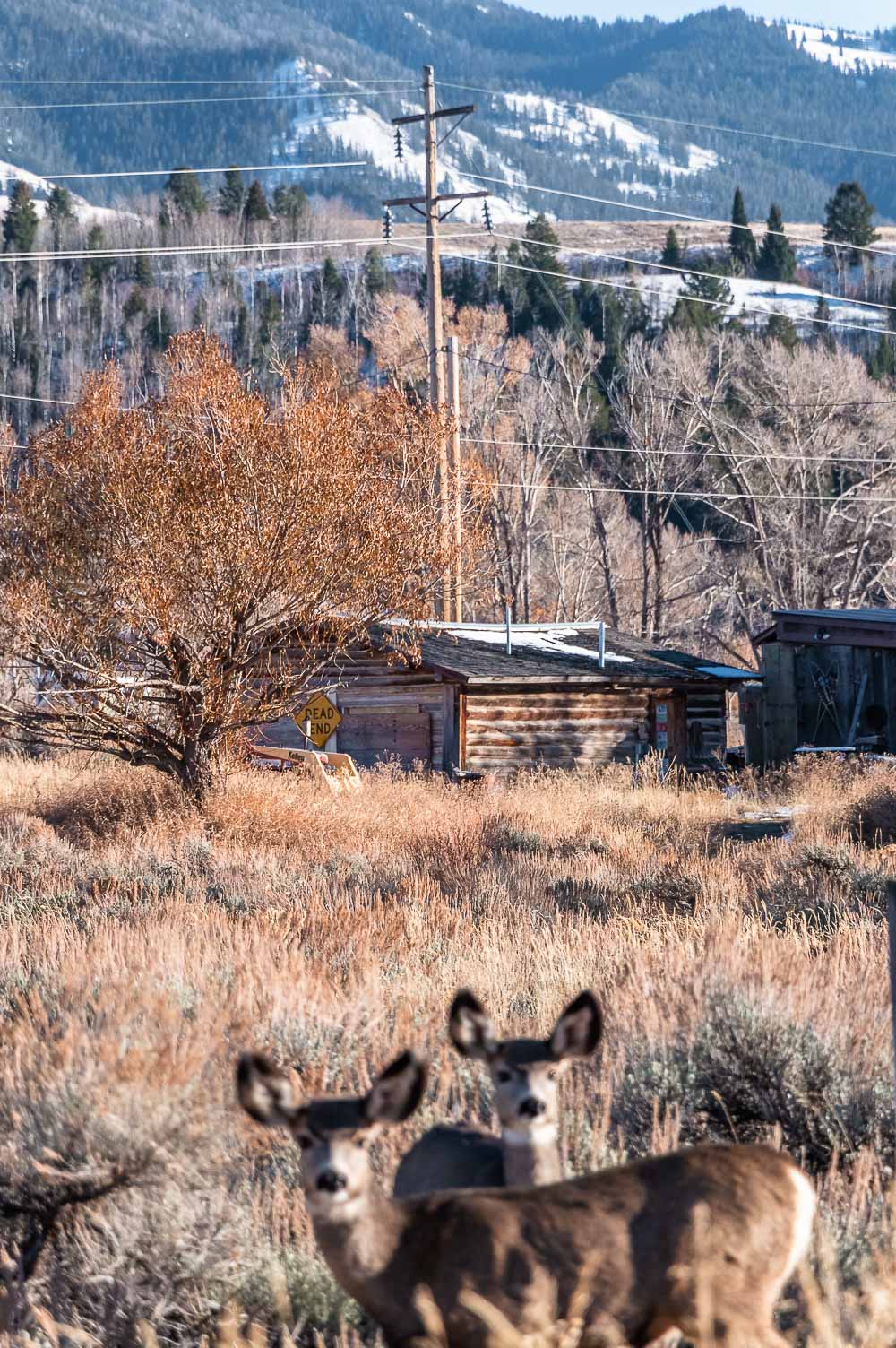 Photo Spots in Grand Teton - Roads and Destinations, roadsanddestinations.com