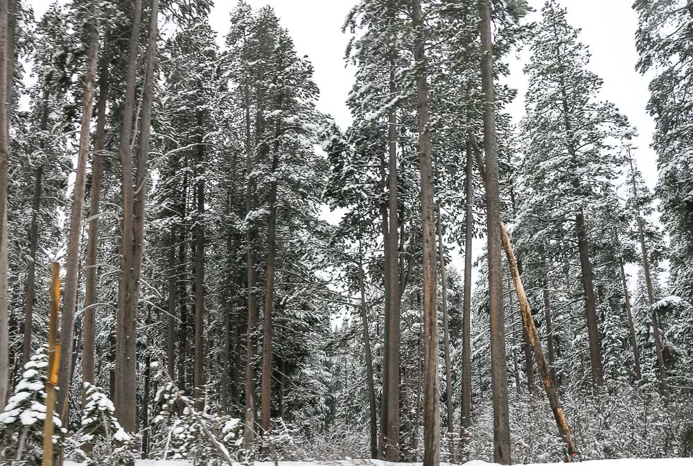 Places to find snow in California, Day Trips from Boise, idaho - Roads and Destinations___roadsanddestinations.com