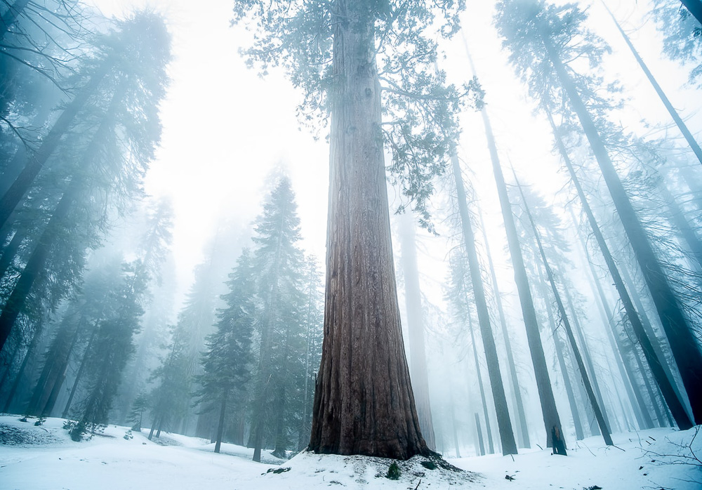 Places to find snow in California - Roads and Destinations