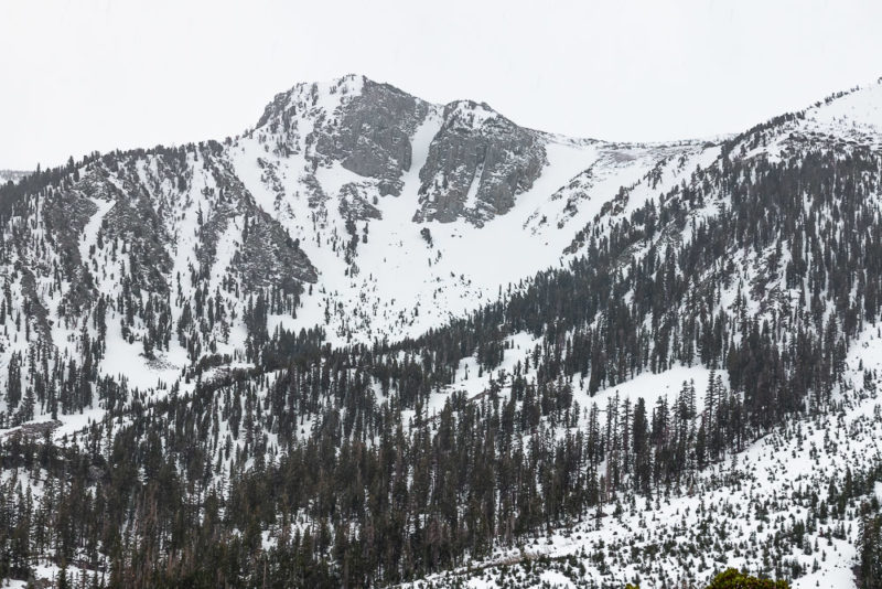 The 10 Best Places to Experience Snow in California - Roads and ...