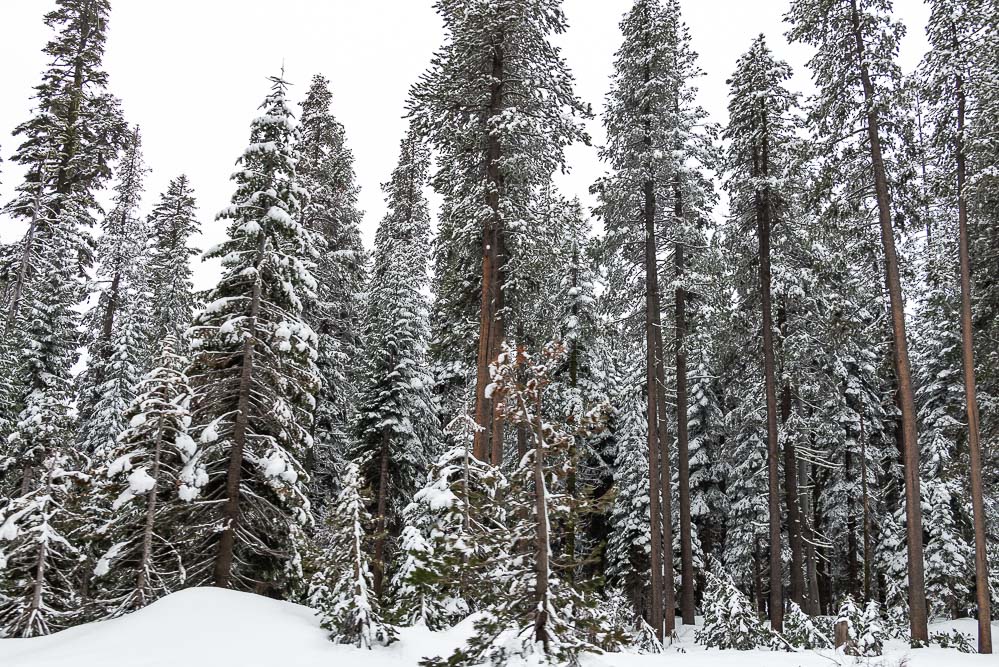 Places to find snow in California - Roads and Destinations