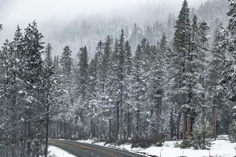 The 10 Best Places to Find Snow in California Roads and Destinations