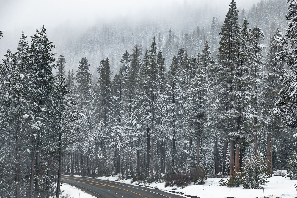 Places to find snow in California - Roads and Destinations