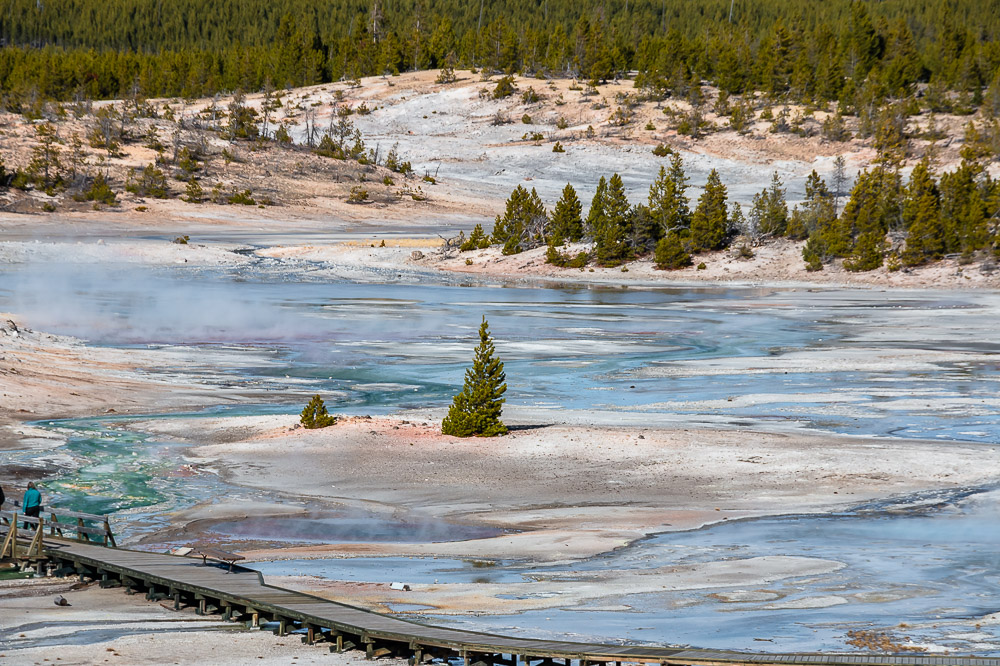 9 Things You didn’t Know About Yellowstone - Roads and Destinations