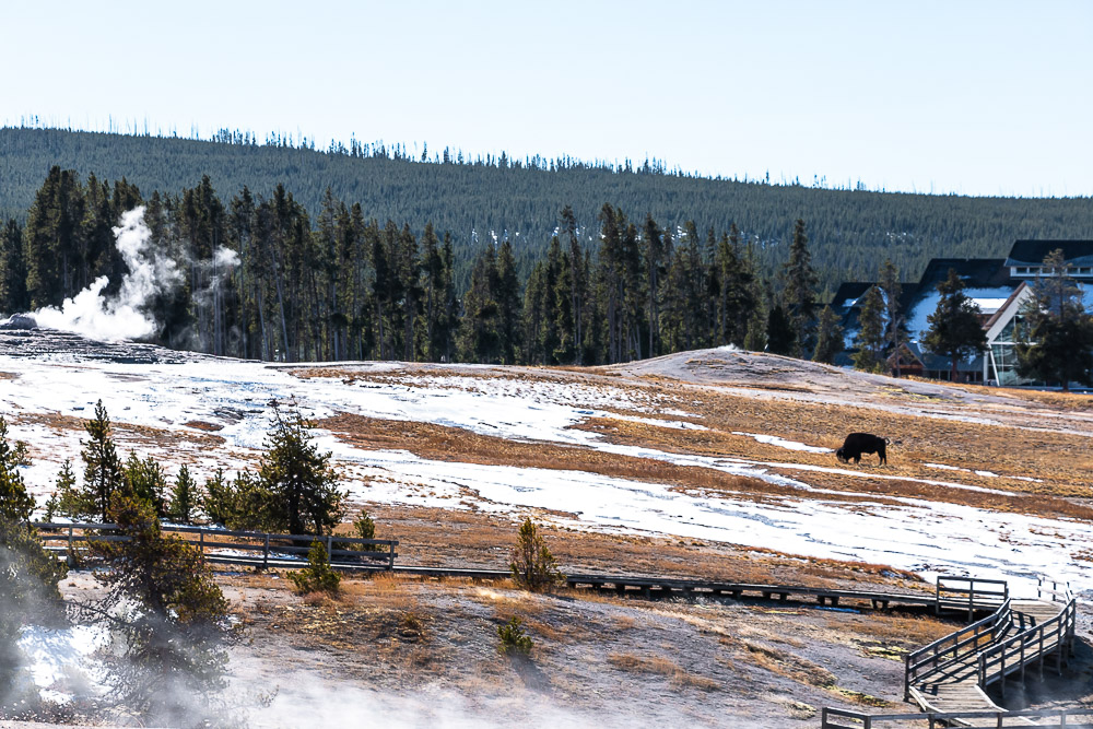 Visit Old Faithful - Roads and Destinations, roadsanddestinations.com