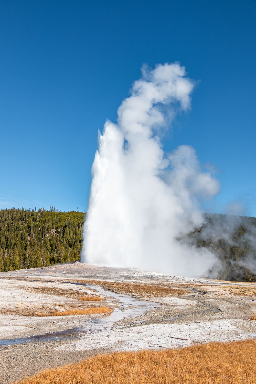 Visit Old Faithful - Roads and Destinations, roadsanddestinations.com