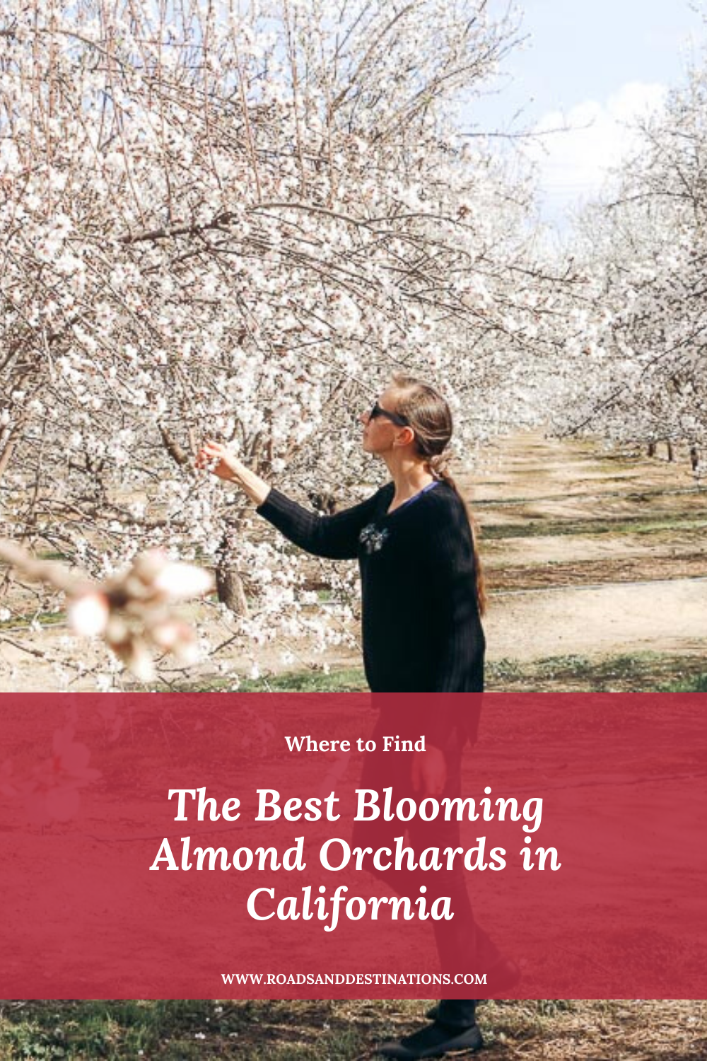 Blooming Almond Orchards in California - Roads and Destinations