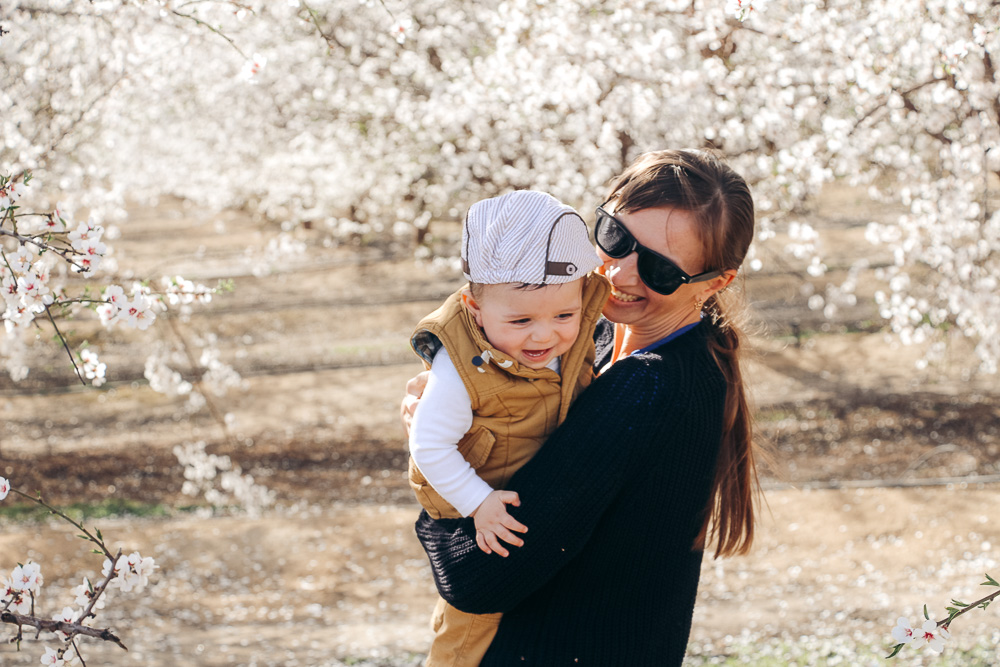 Blooming Orchards in California - Roads and Destinations