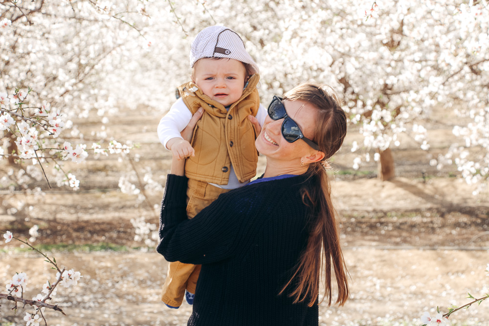 Blooming Almond Orchards in California - Roads and Destinations