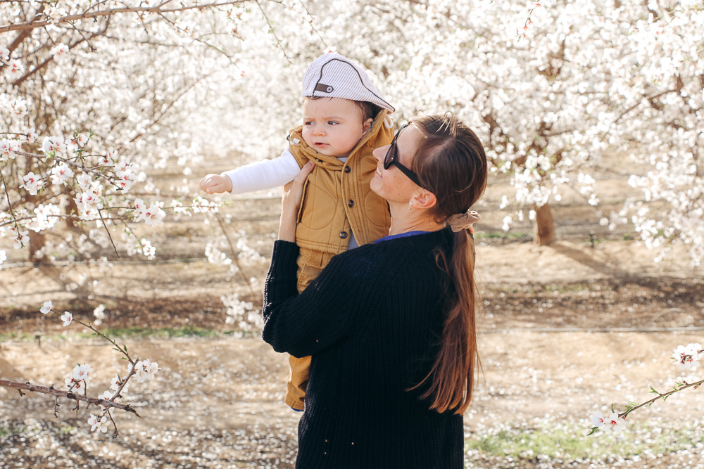 Blooming Almond Orchards in California - Roads and Destinations