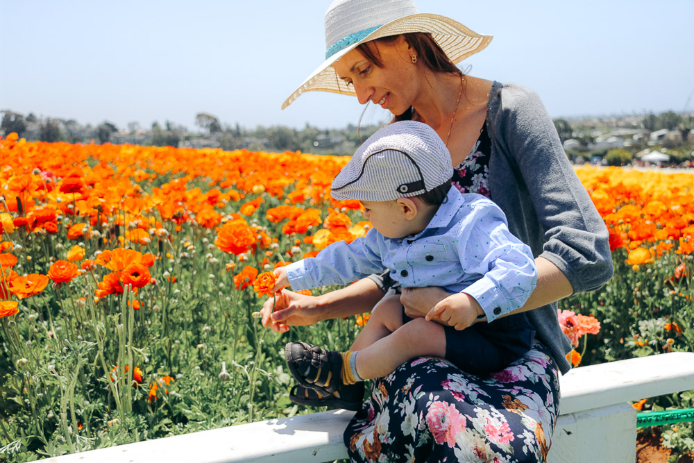 Visit Flower Fields - Roads and Destinations