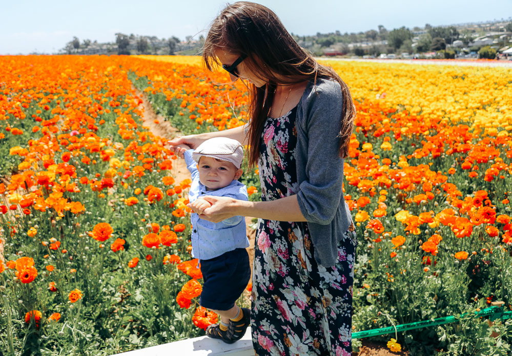 California bloom - Roads and Destinations