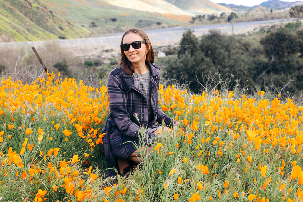 Wildflowers near Los Angeles -- Roads and Destinations