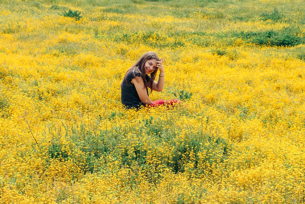 Wildflowers near Los Angeles -- Roads and Destinations