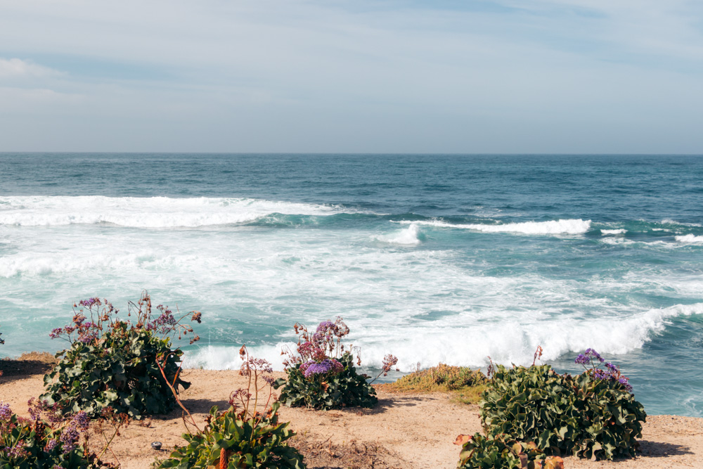 One Day in La Jolla - Roads and Destinations.