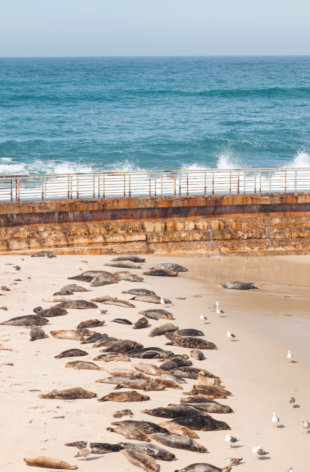 One Day in La Jolla - Roads and Destinations.