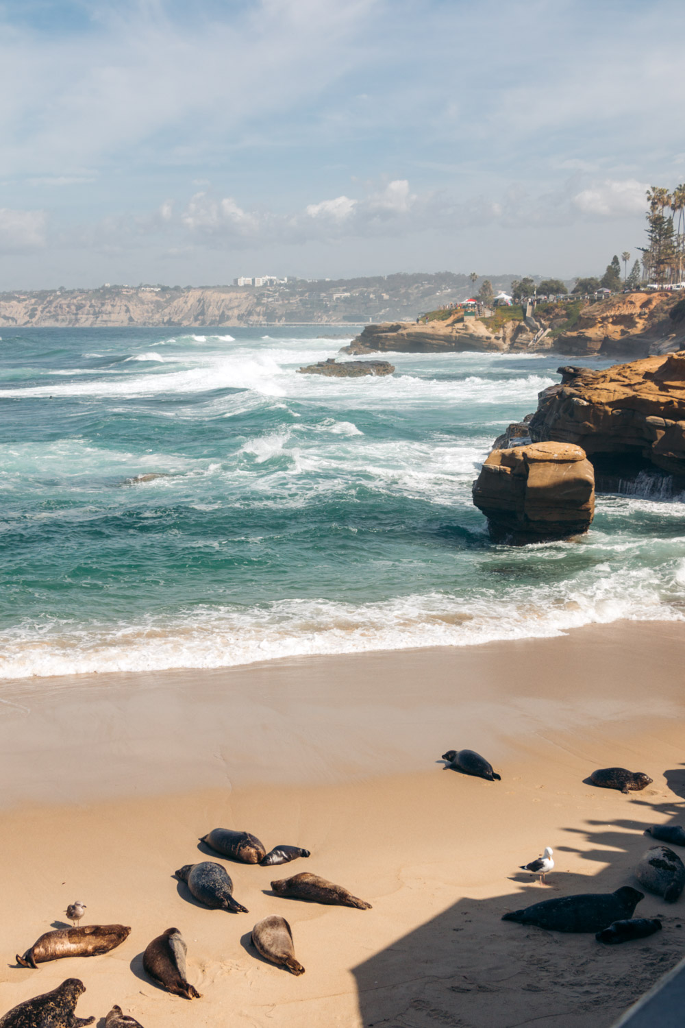 One Day in La Jolla - Roads and Destinations.