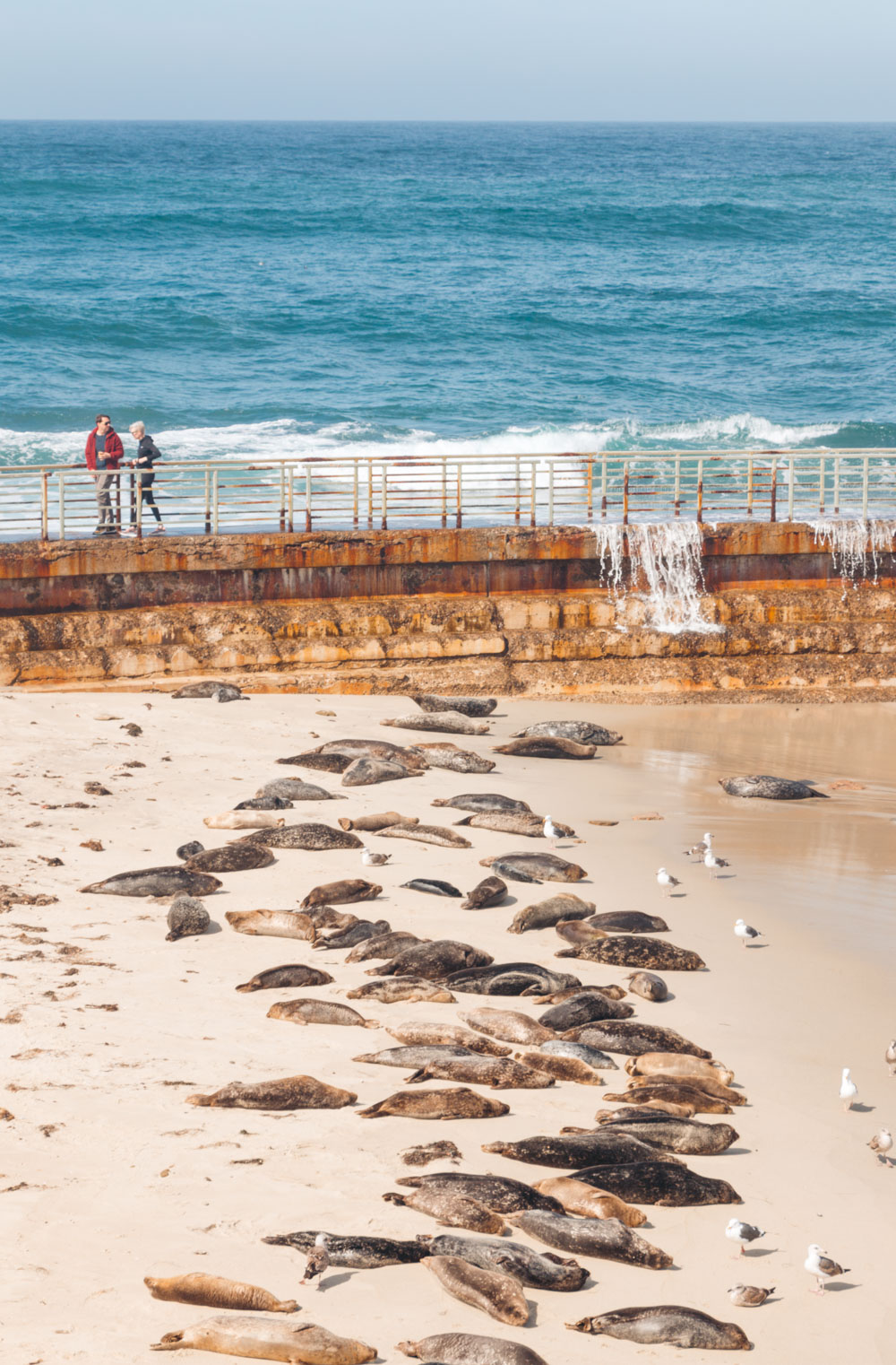 One Day in La Jolla - Roads and Destinations.