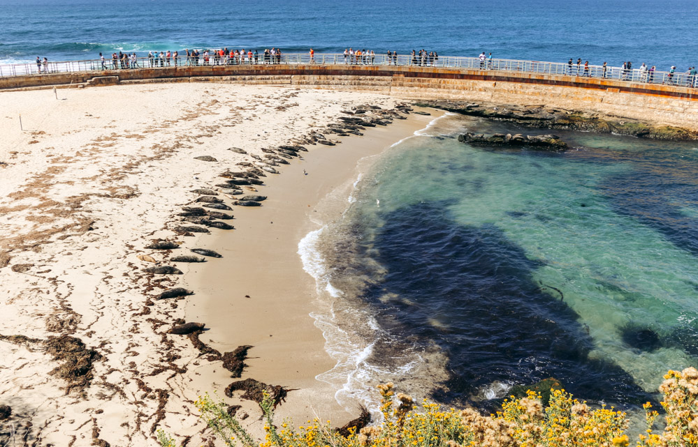 Children's Pool Beach - Roads and Destinations.