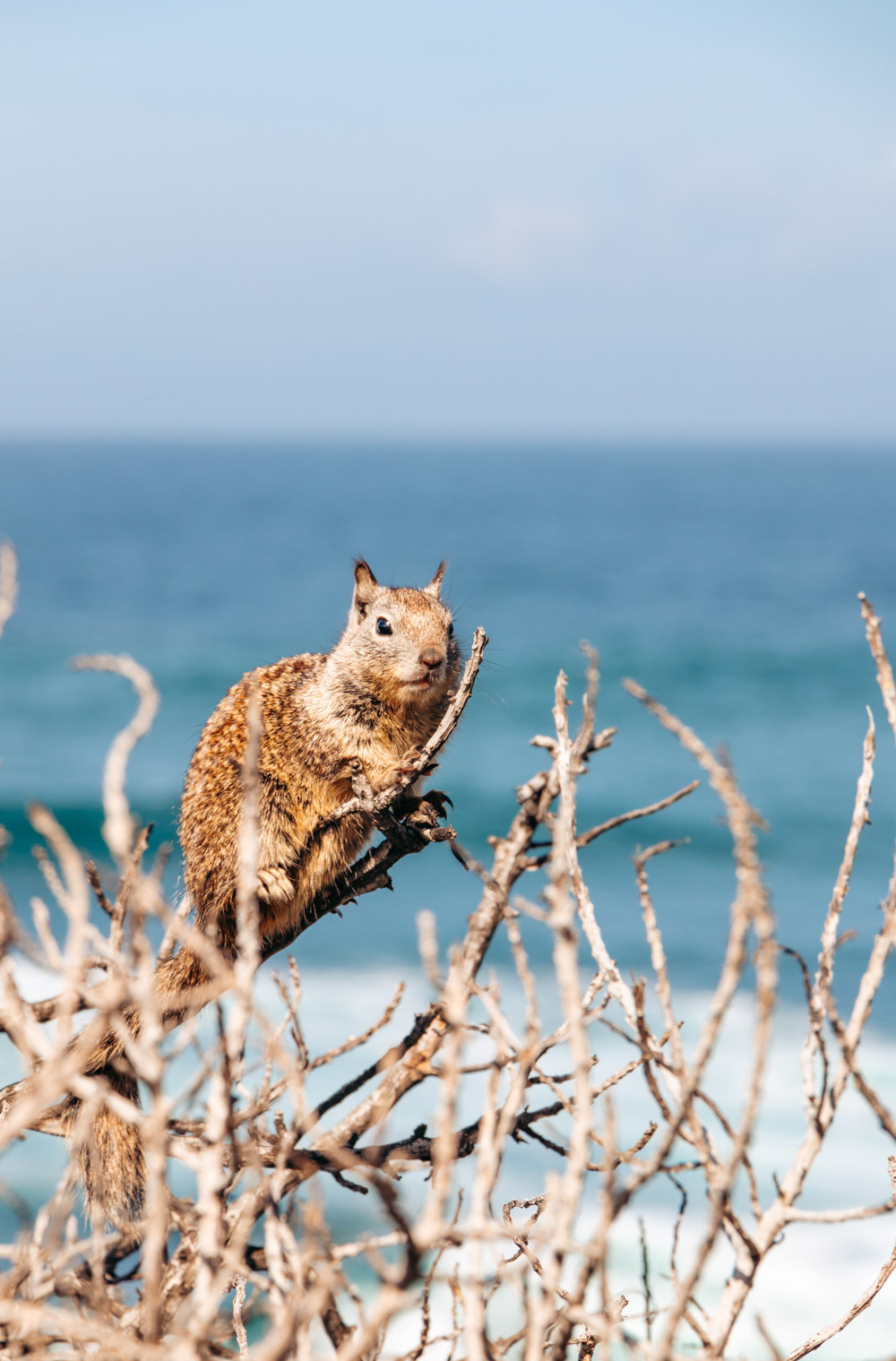 One Day in La Jolla - Roads and Destinations.