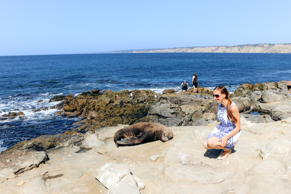 One Day in La Jolla - Roads and Destinations.