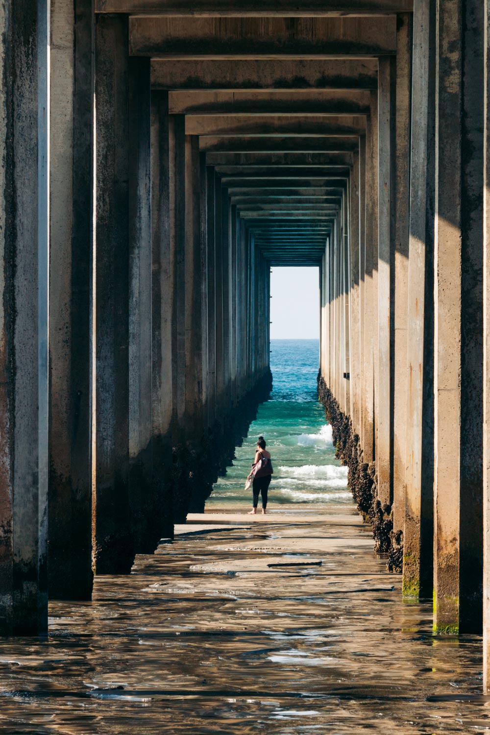 One Day in La Jolla - Roads and Destinations.