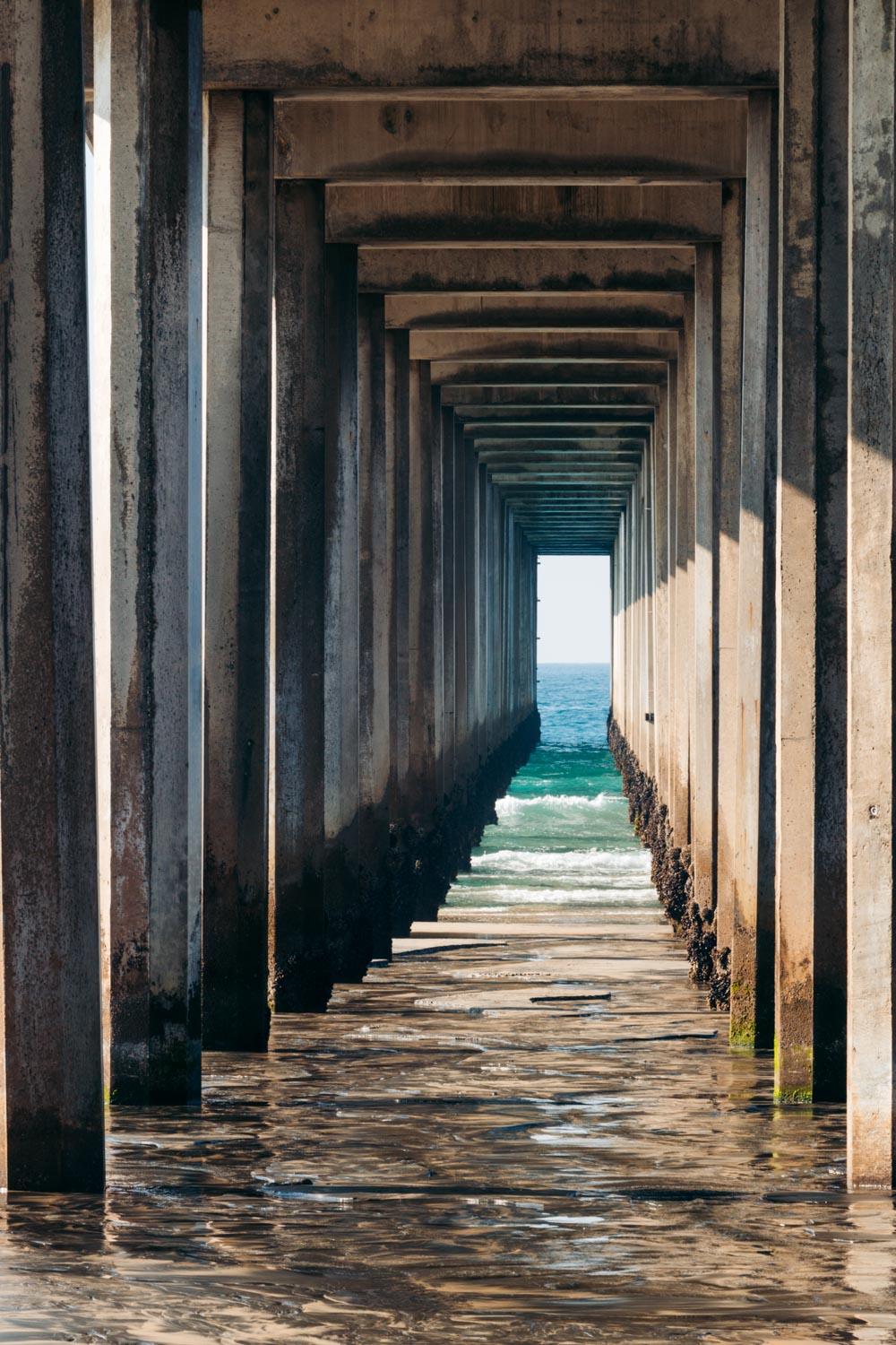 One Day in La Jolla - Roads and Destinations.