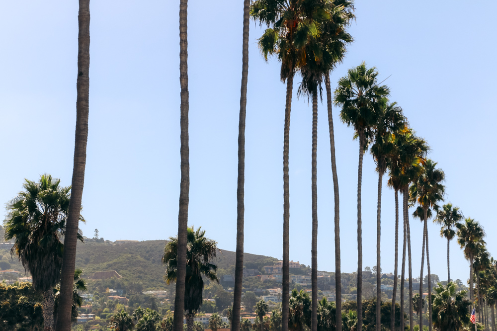 One Day in La Jolla - Roads and Destinations.