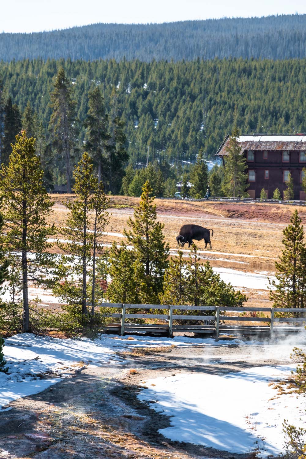 Visit Upper Geyser Basin - Roads and Destinations