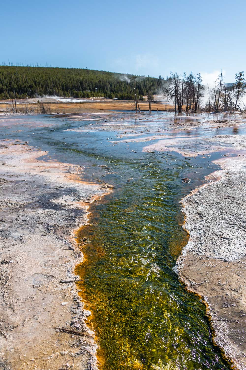 Visit Upper Geyser Basin - Roads and Destinations