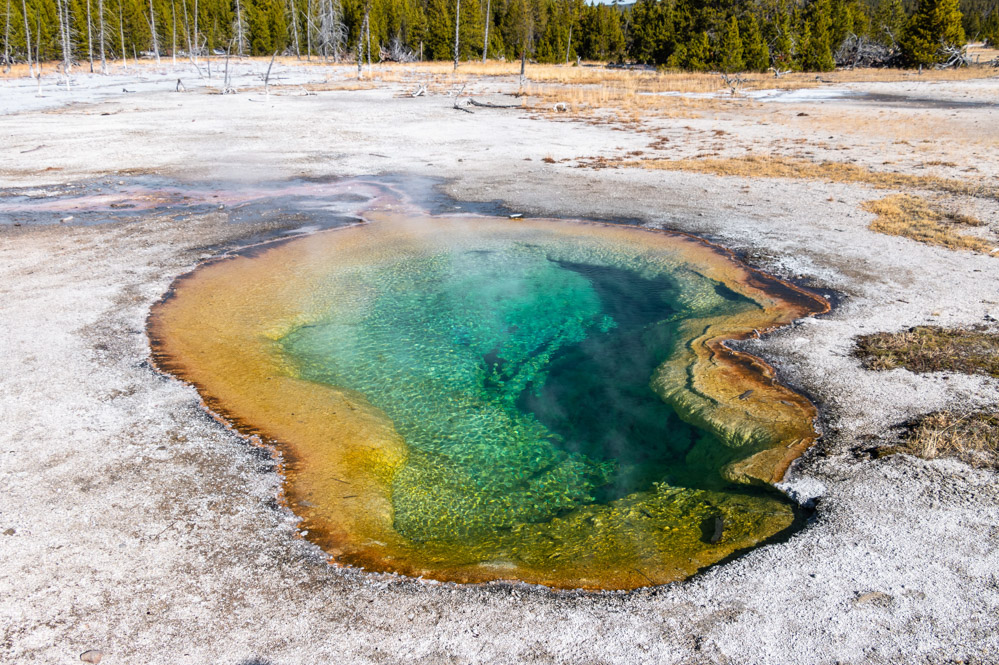 Visit Upper Geyser Basin - Roads and Destinations