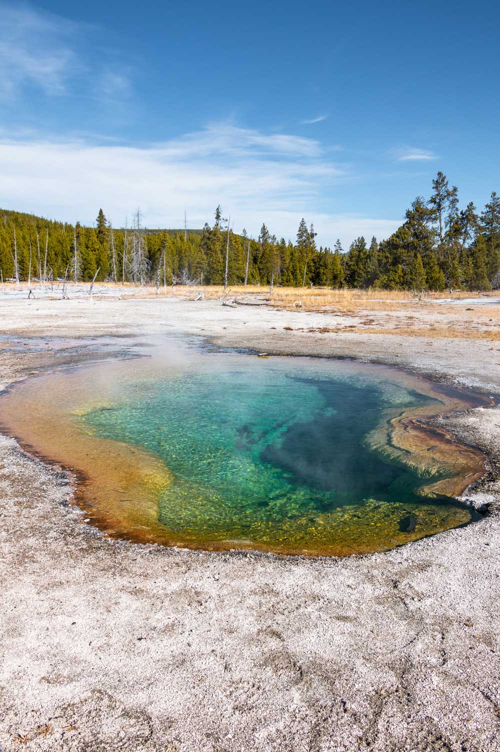 Visit Upper Geyser Basin - Roads and Destinations