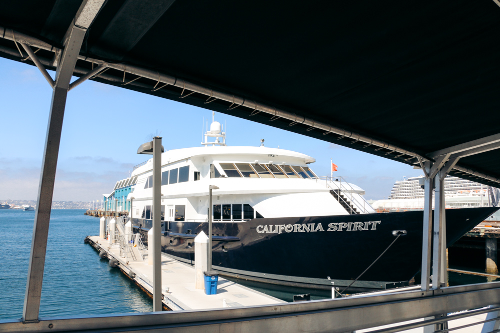 San Diego Harbor Cruise - Roads and Destinations