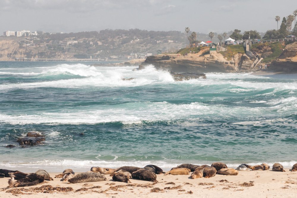 La Jolla, California - Roads and Destinations