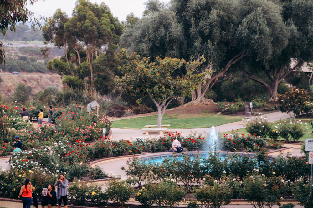 Inez Grant Parker Memorial Rose Garden - Roads and Destinations