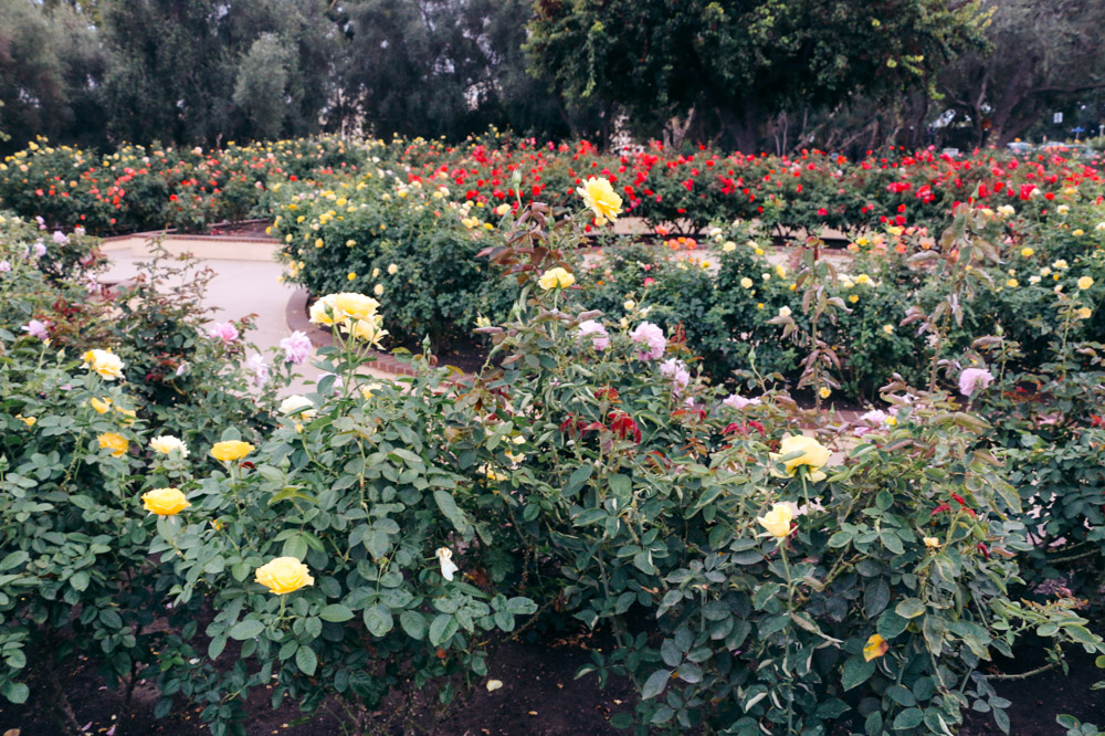 Things to Do in Balboa Park. Bucket List and Photography - Roads and Destinations