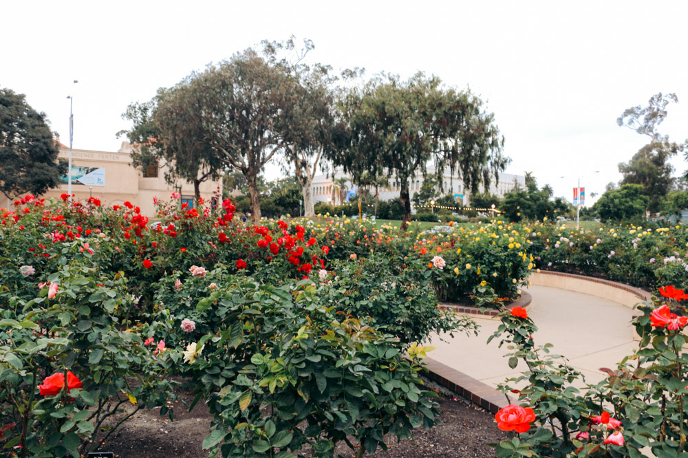 Things to Do in Balboa Park. Bucket List and Photography - Roads and Destinations