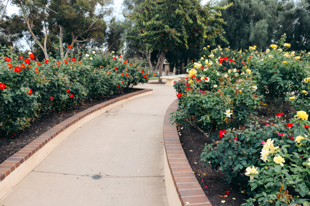 Things to Do in Balboa Park. Bucket List and Photography - Roads and Destinations