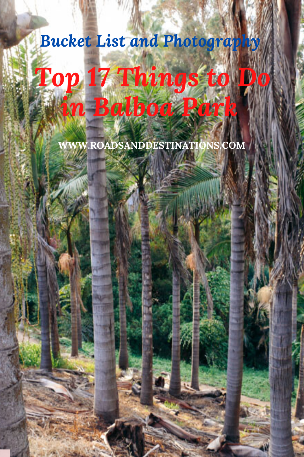 Top 17 Things to Do in Balboa Park. Bucket List and Photography - Roads and Destinations