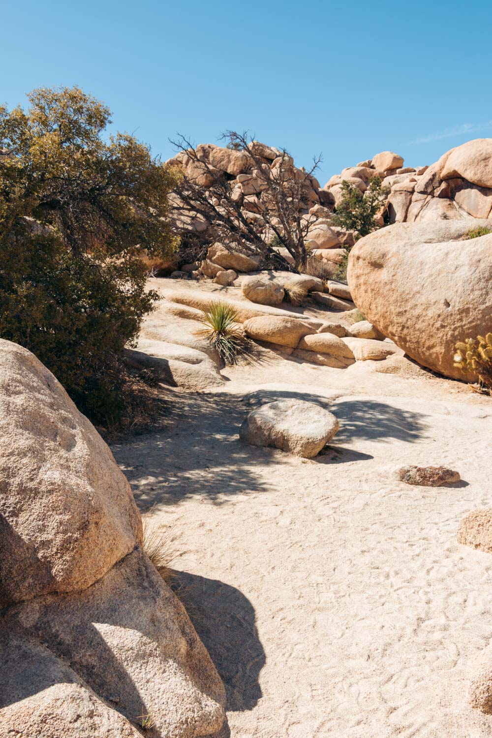 Visit Barker Dam in Joshua Tree - Roads and Destinations