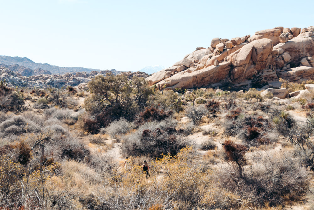 Visit Barker Dam in Joshua Tree - Roads and Destinations